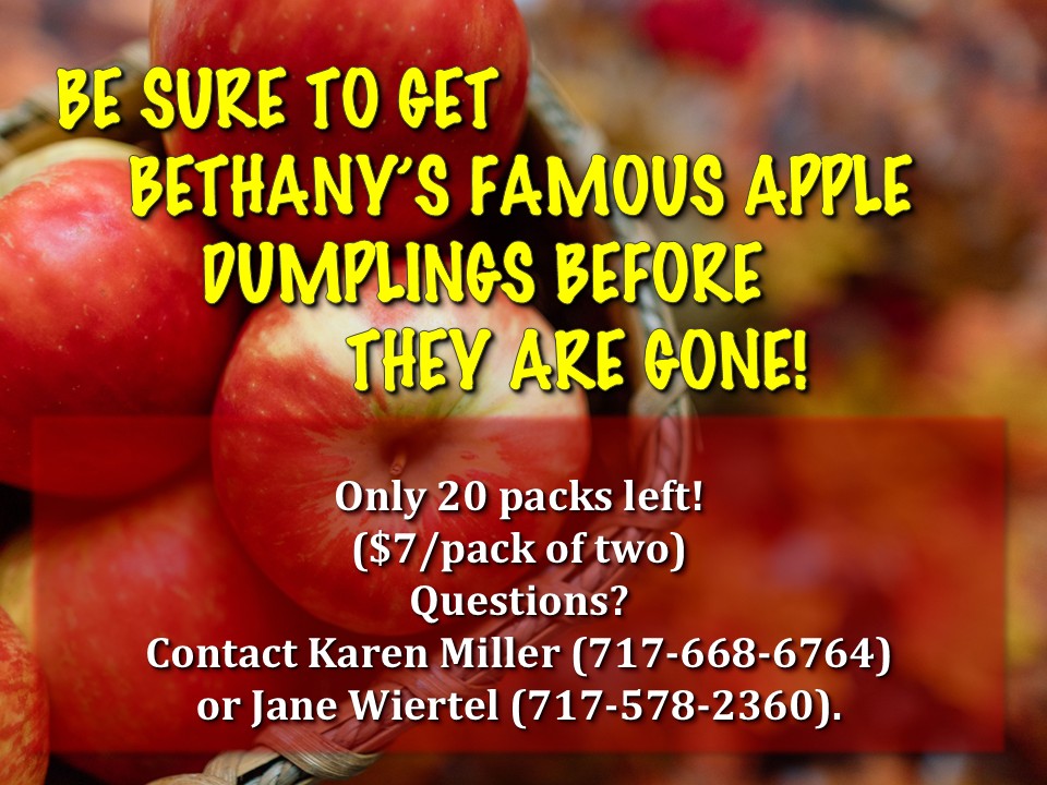 Apple Dumplings 2025-3